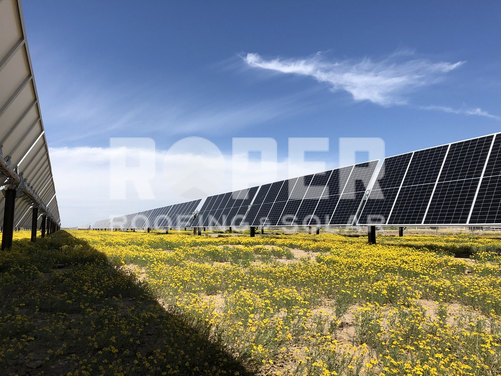 Solar panel farm in field of yellow wildflowers under blue sky with clouds