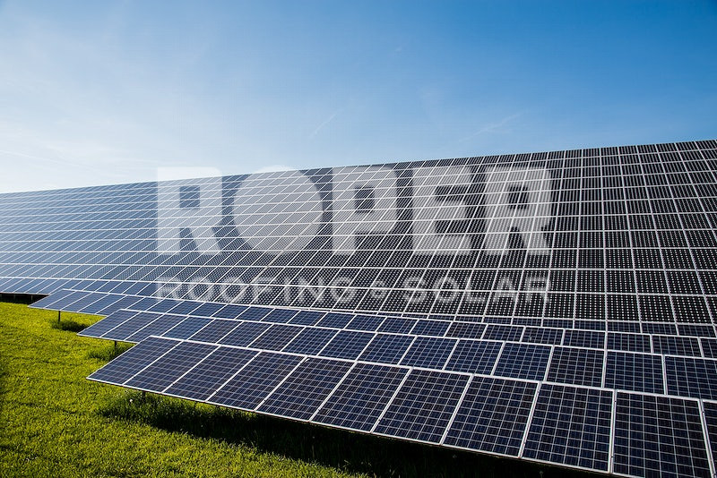 Large solar panel array on green grass field under blue sky for renewable energy