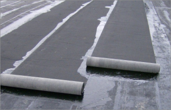 Concrete parking lot wheel stops painted white on wet asphalt pavement