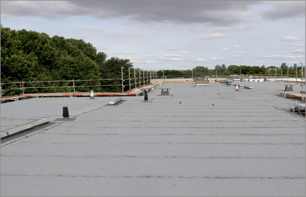 Flat commercial roof membrane with safety railings and green trees in background