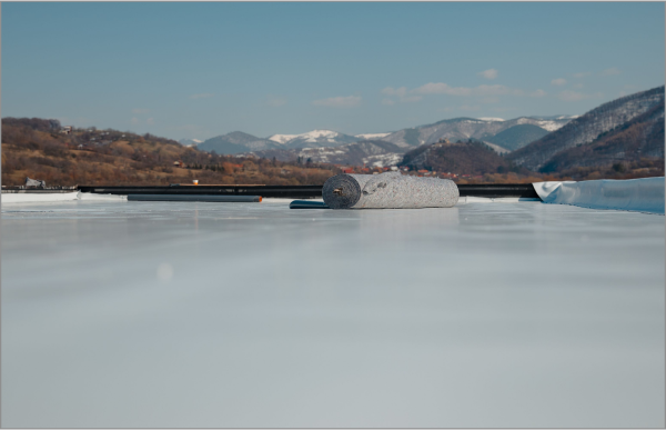 Seal resting on frozen lake ice with snow-capped mountains in background